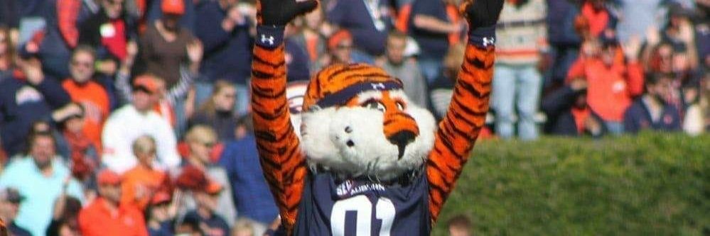 jragan175's profile banner image