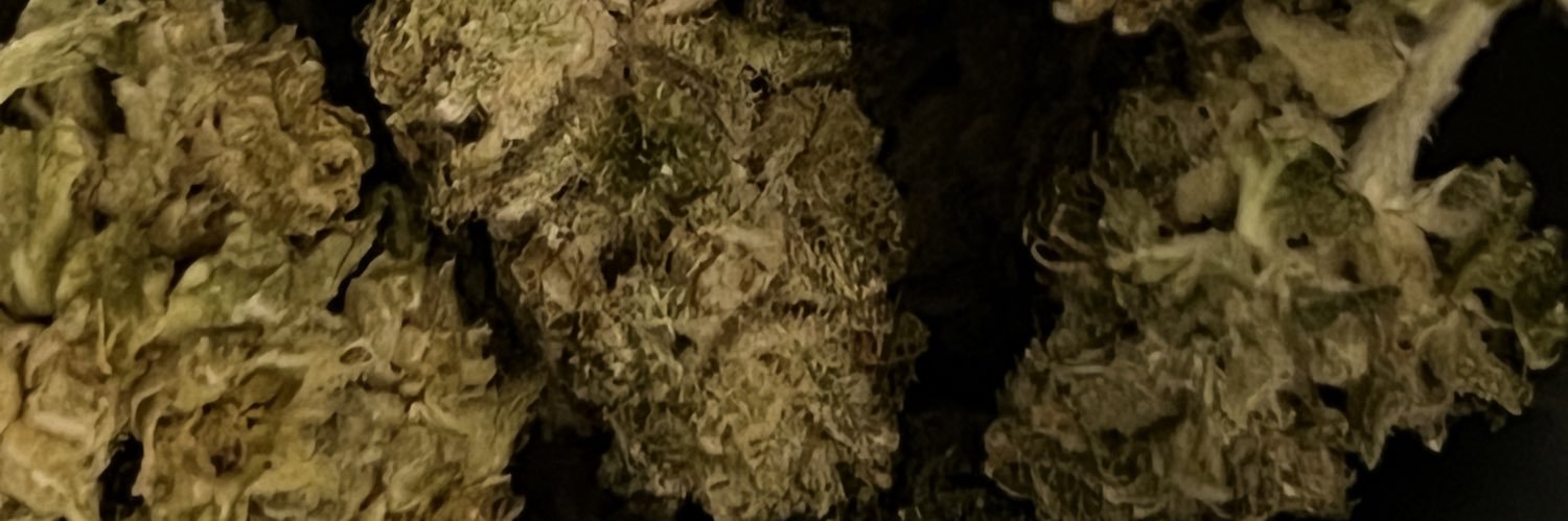 mjbist's profile banner image