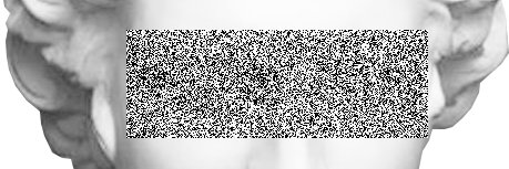 TOXICWALRUSES's profile banner image