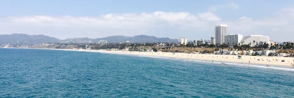 Michael Swain banner