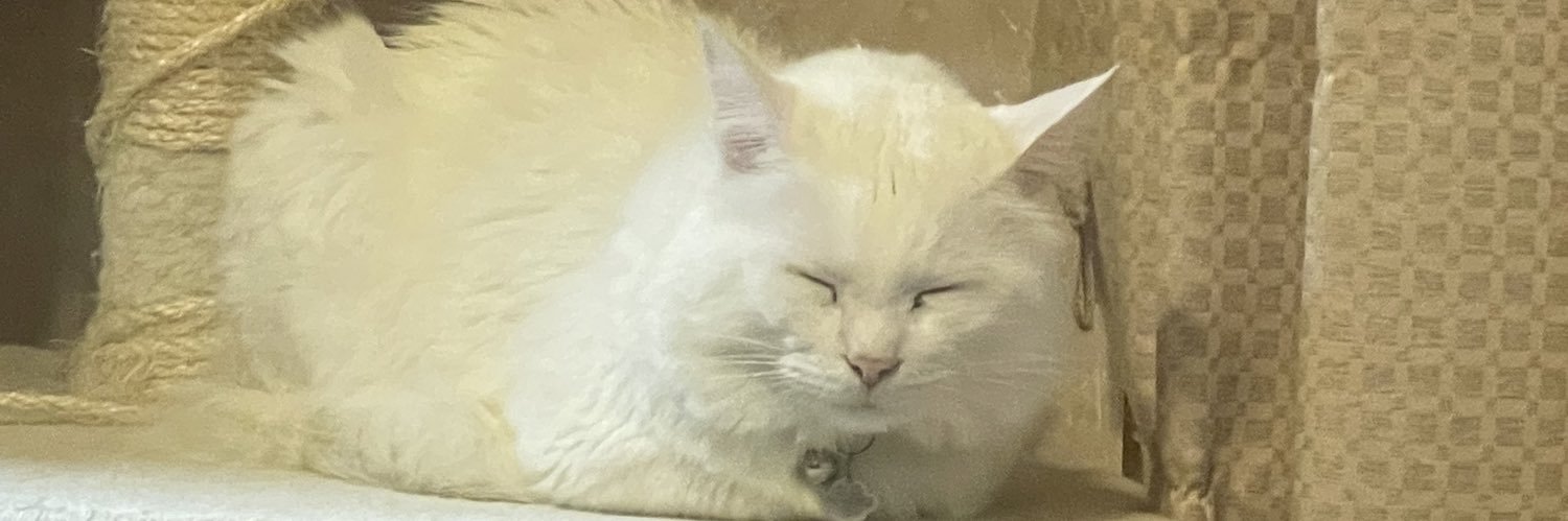 negeroMaster's profile banner image