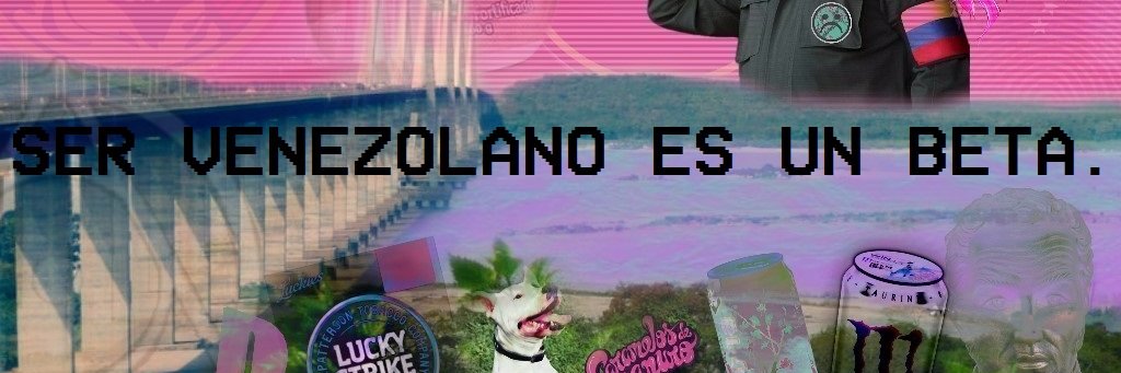 yungsql's profile banner image