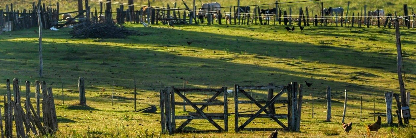 pereiraFaa's profile banner image