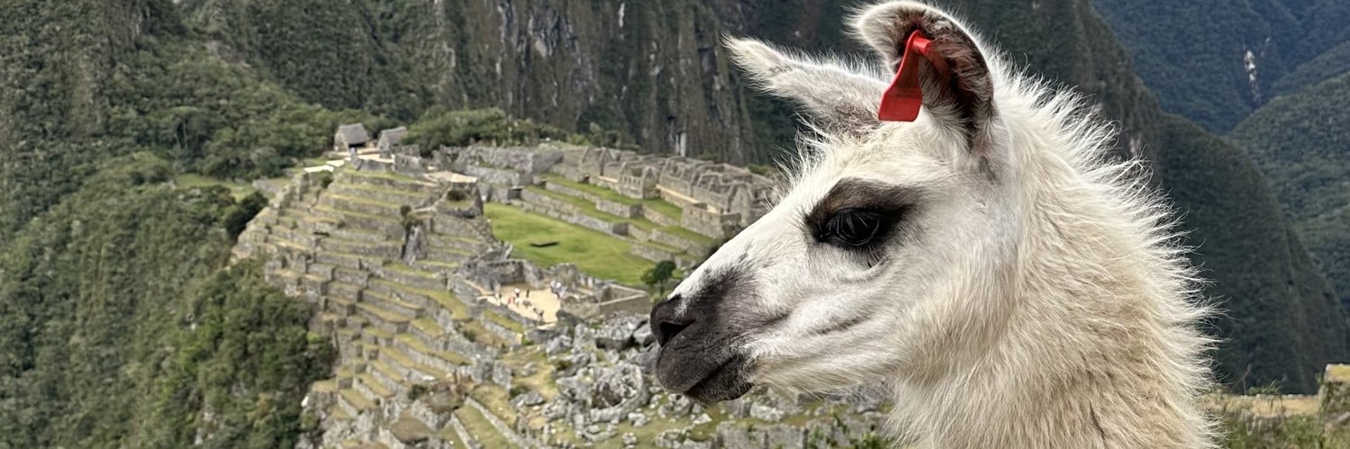 y n r a banner