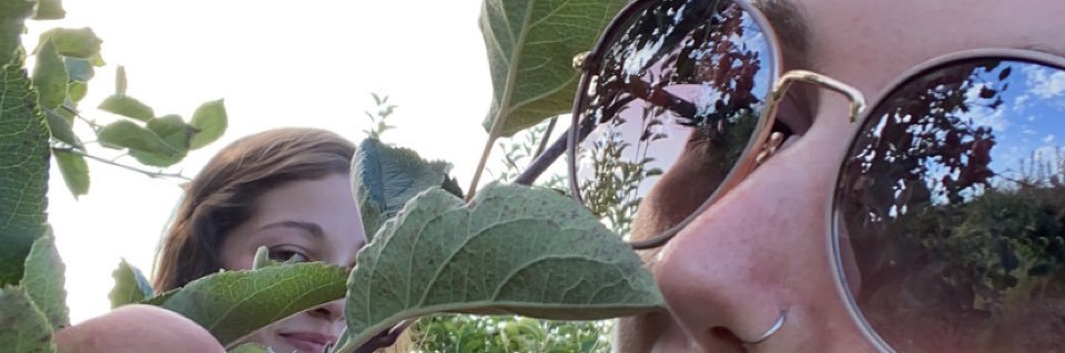 waltonmolly88's profile banner image