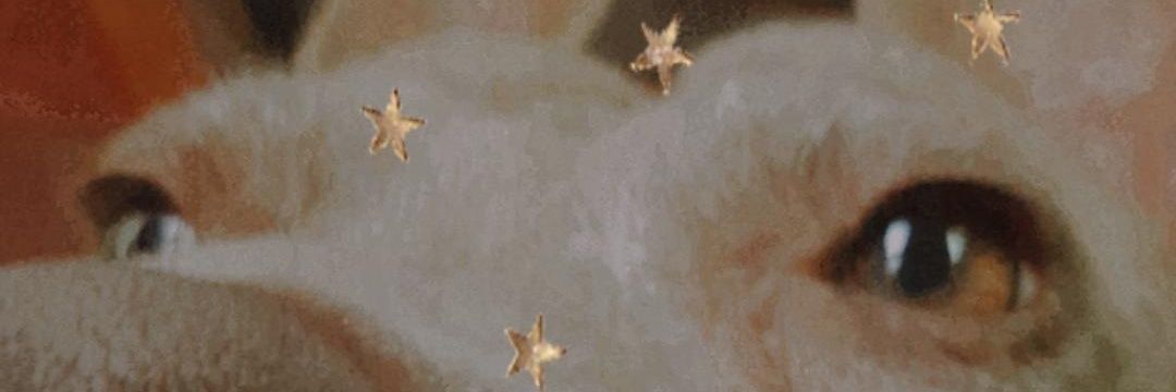 OyeGalvan's profile banner image
