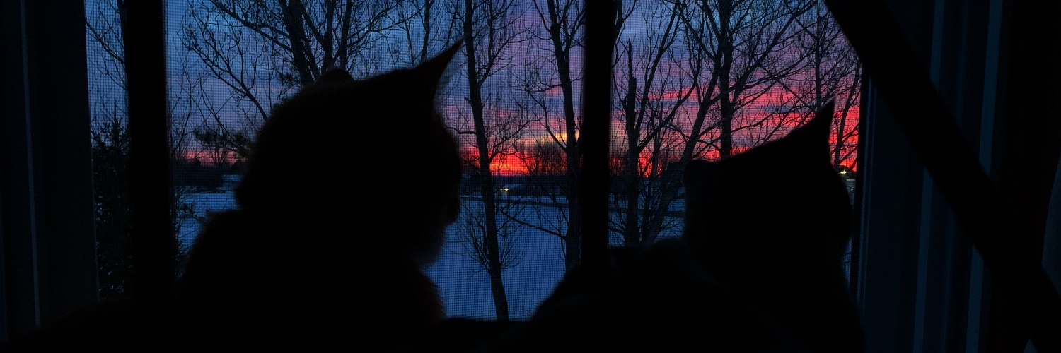 MayaLynnCarr's profile banner image