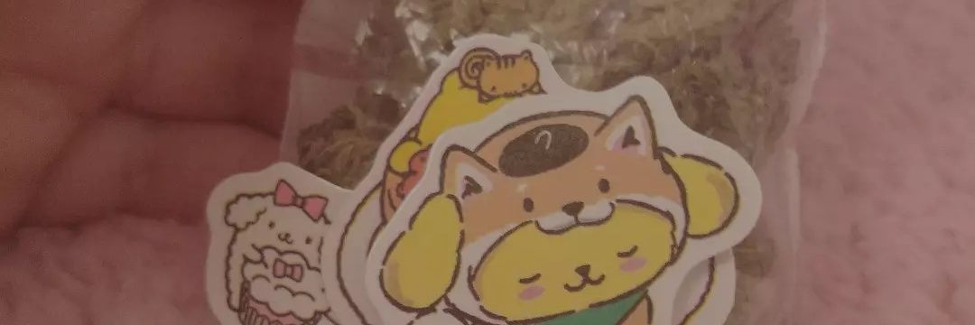 fran_ornah's profile banner image