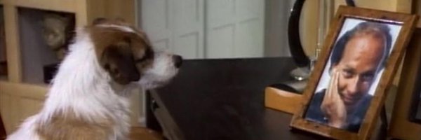 deannapai Profile Banner