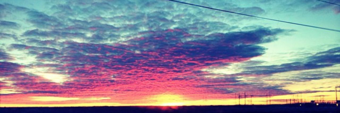 saracudmore's profile banner image