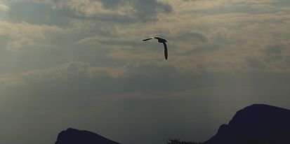 Al_3z20's profile banner image