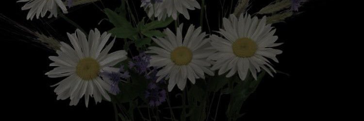 yazzbean's profile banner image