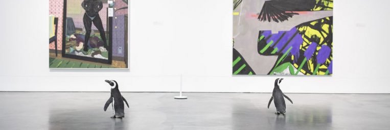 AliceJane1221's profile banner image