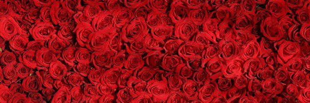 Queen__Tey's profile banner image
