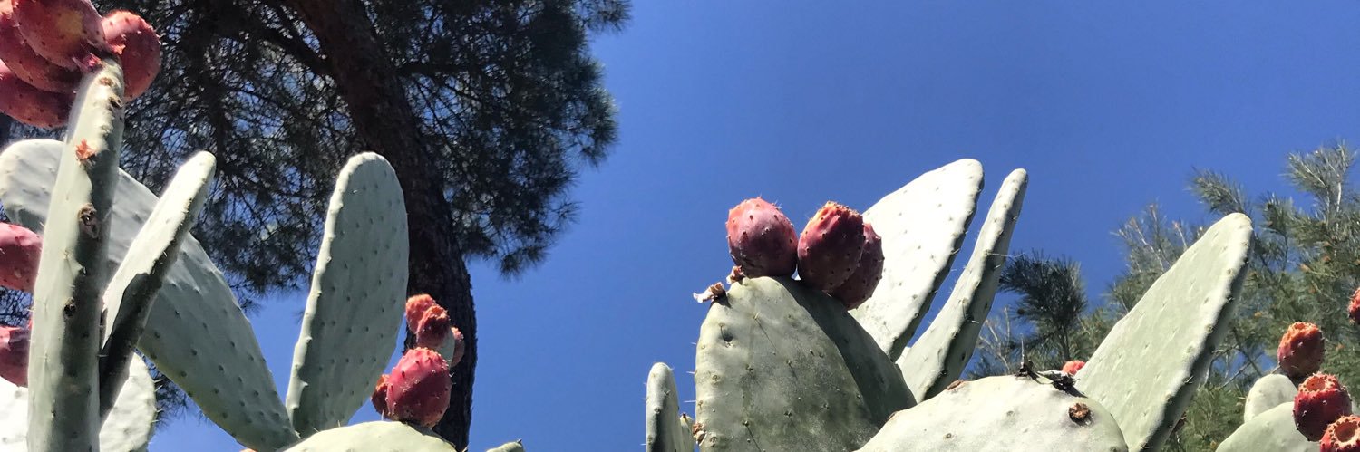 sobotovade_'s profile banner image