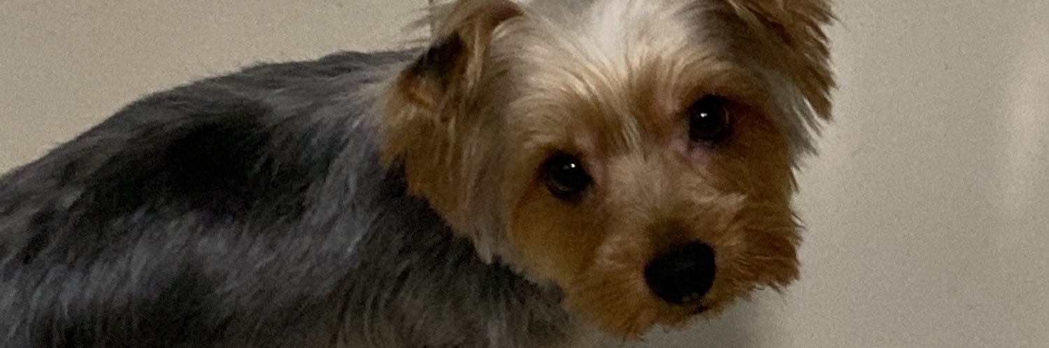 fchn_'s profile banner image