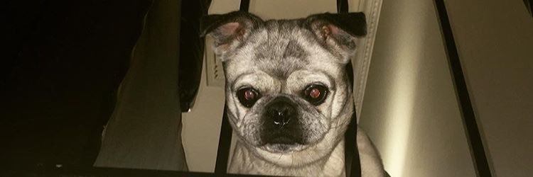 LiLTORiAAA's profile banner image