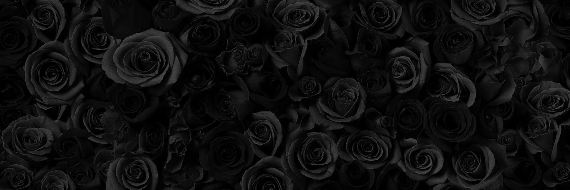 rosesny's profile banner image