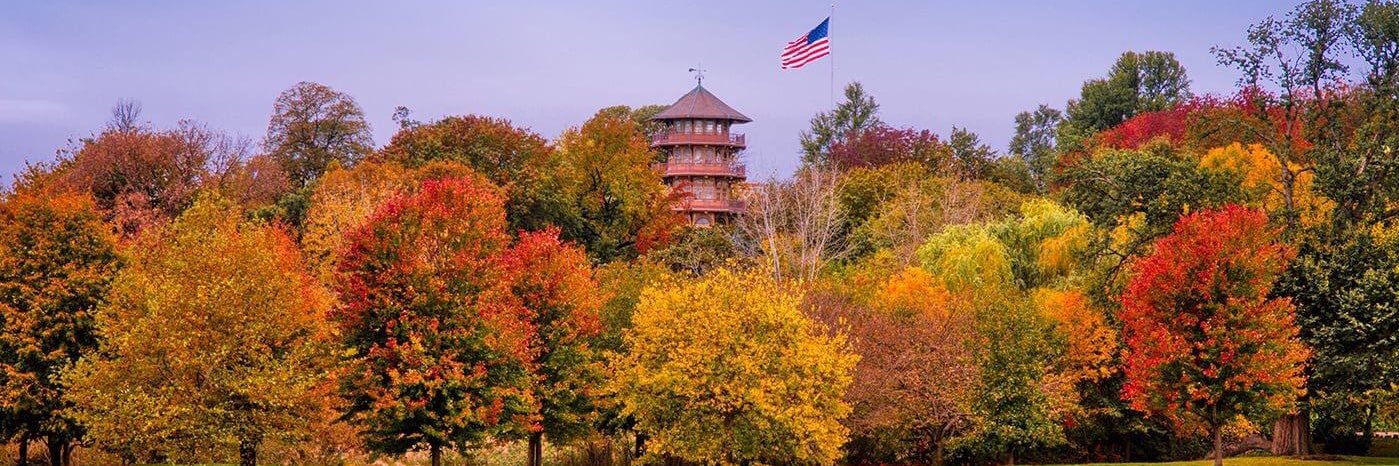 Mark McClafferty banner
