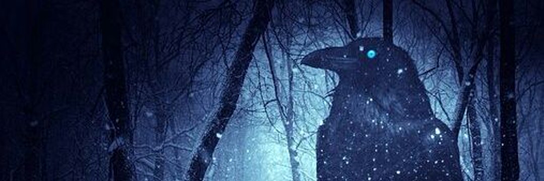 MalditoCuervo_'s profile banner image