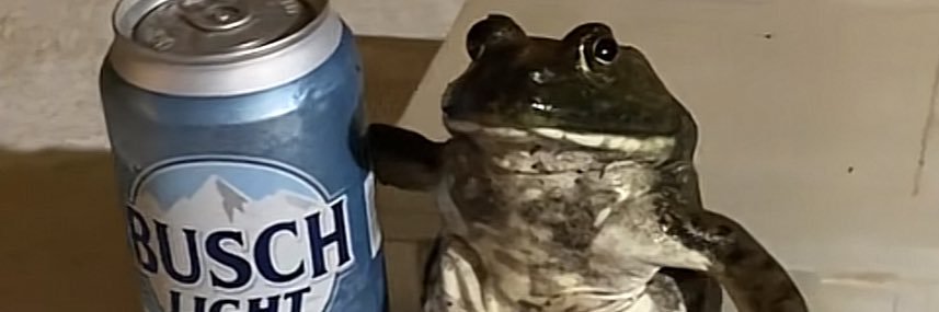 16dallau's profile banner image