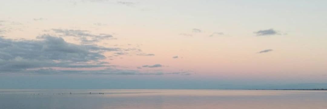 bm_lilred's profile banner image