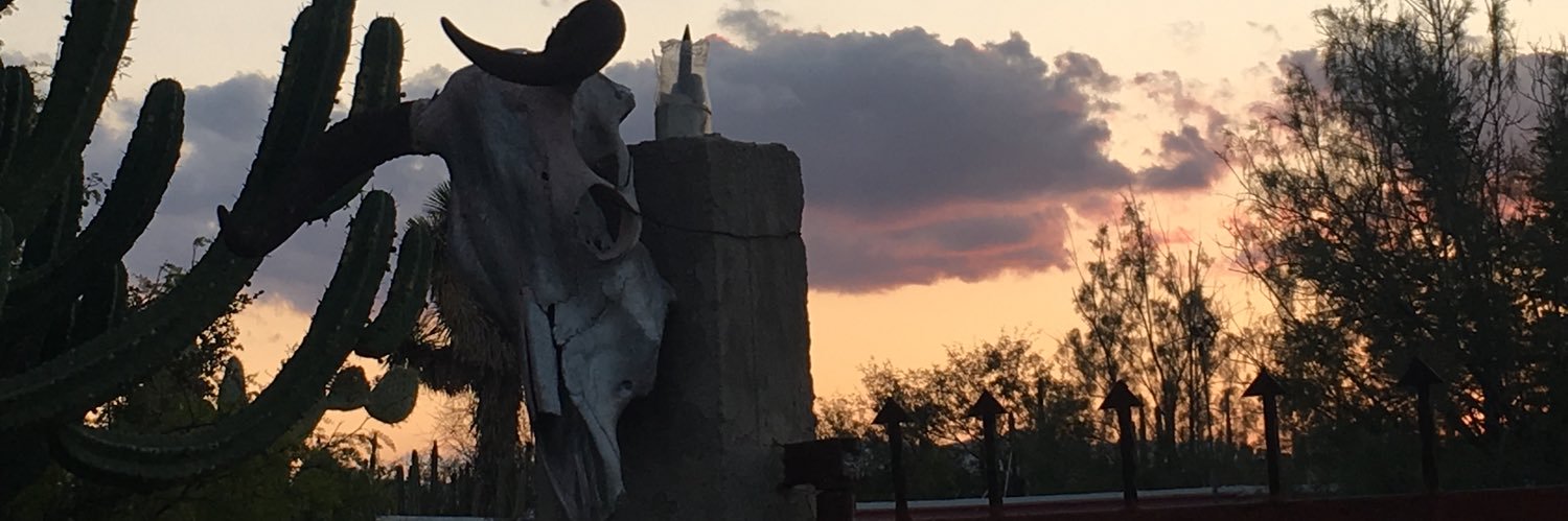 izavalaaa's profile banner image