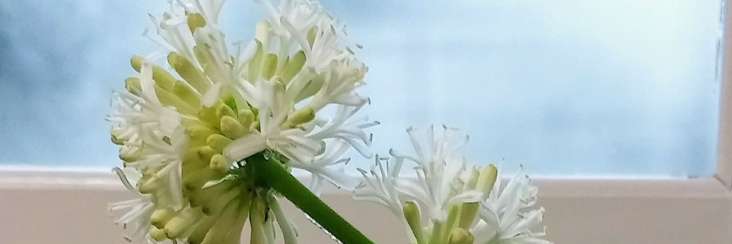 rlagksry's profile banner image