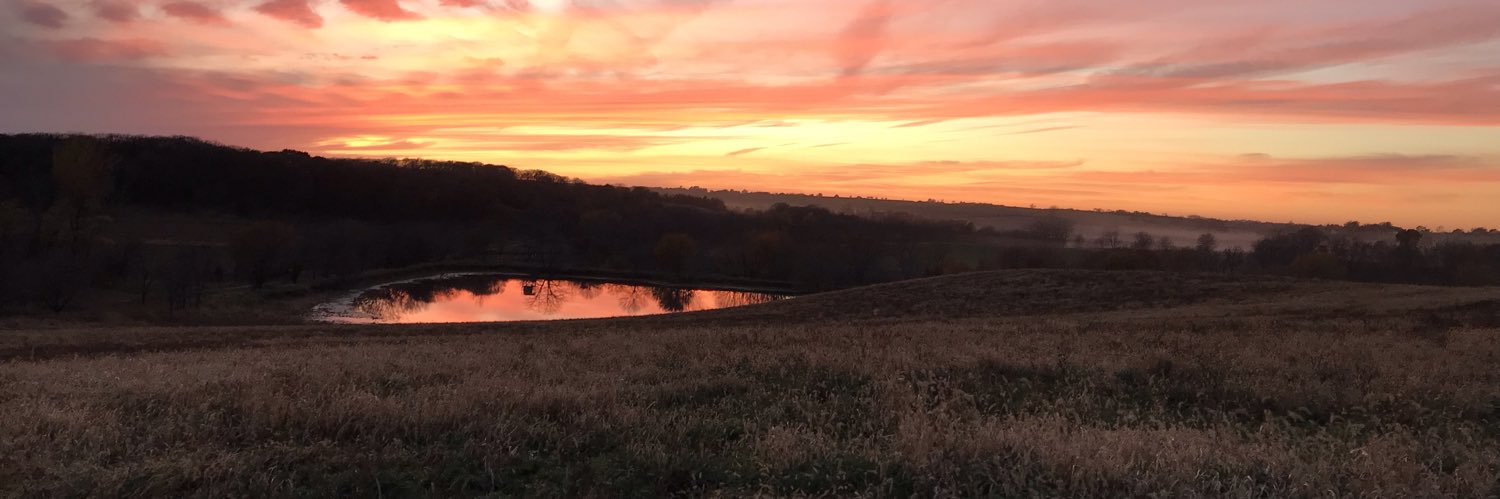 Kyle Musfeldt banner