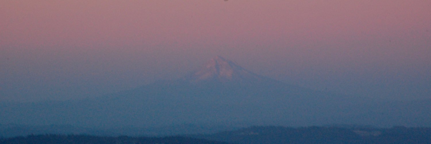 nick_auld's profile banner image