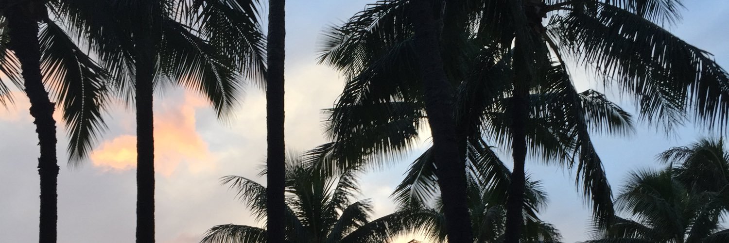 millaaxo's profile banner image