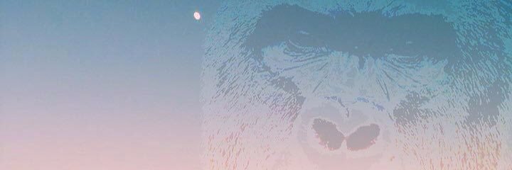 michaelwhit3's profile banner image