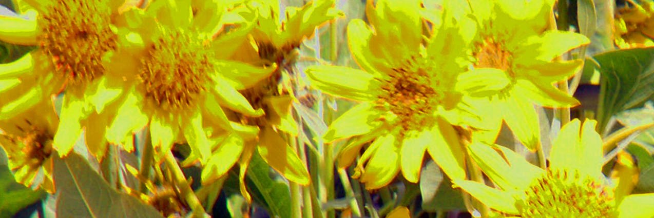janeb80's profile banner image