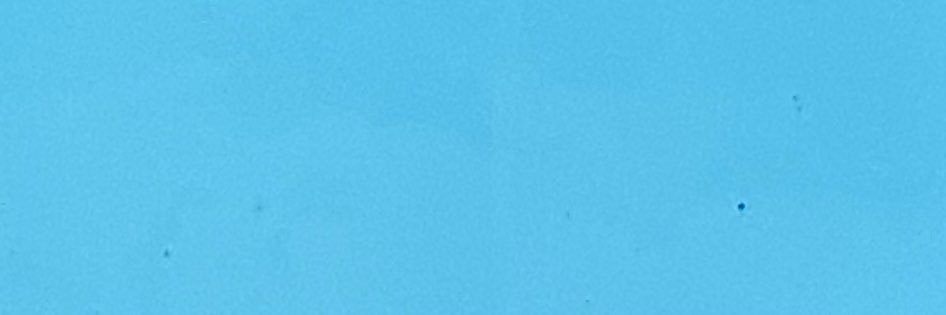 Paulinaps46's profile banner image