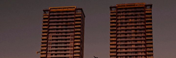 frulifruli's profile banner image