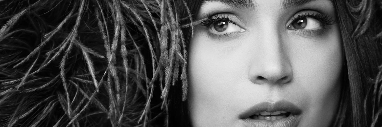 Sofia Carson's banner