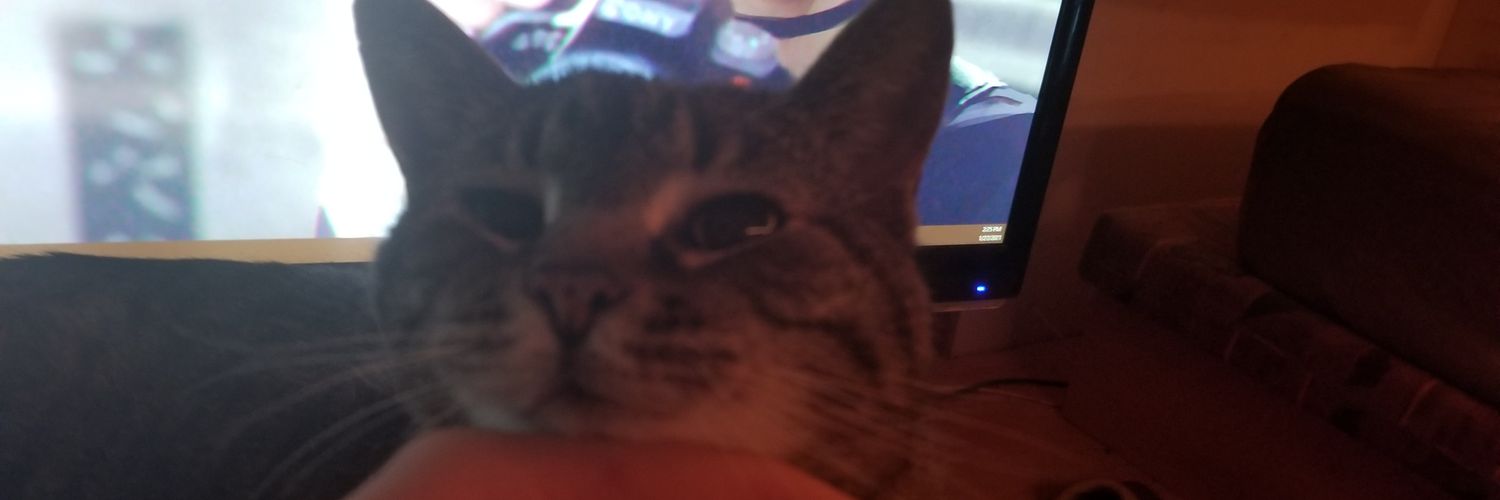 PurpleLeming's profile banner image