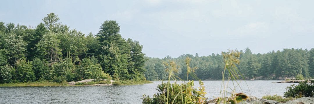 ErikEngstrom44's profile banner image