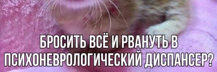 Netakoy_'s profile banner image