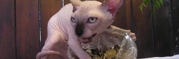 LumbyGoW's profile banner image