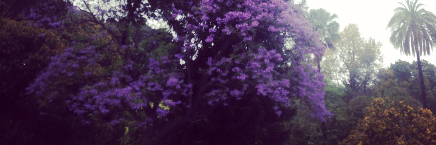 kdendle's profile banner image