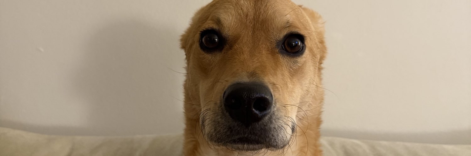 hadasie's profile banner image