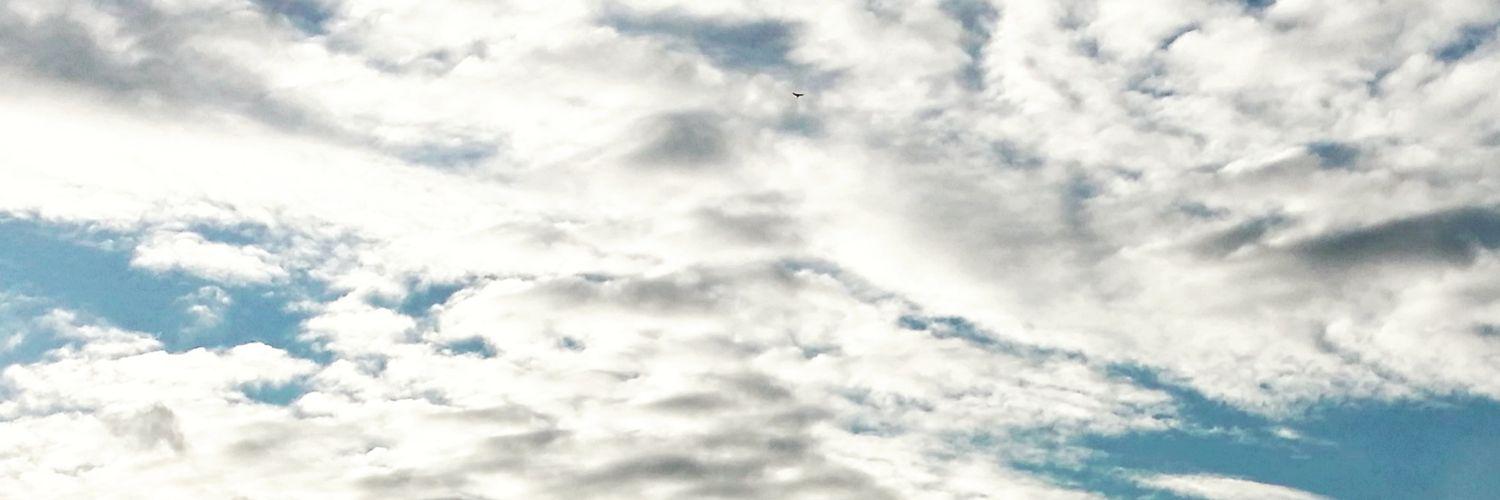 mindpinyapat's profile banner image
