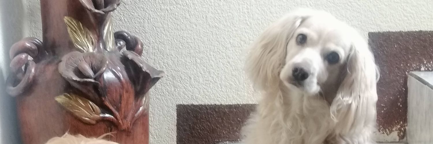 Orly2210's profile banner image