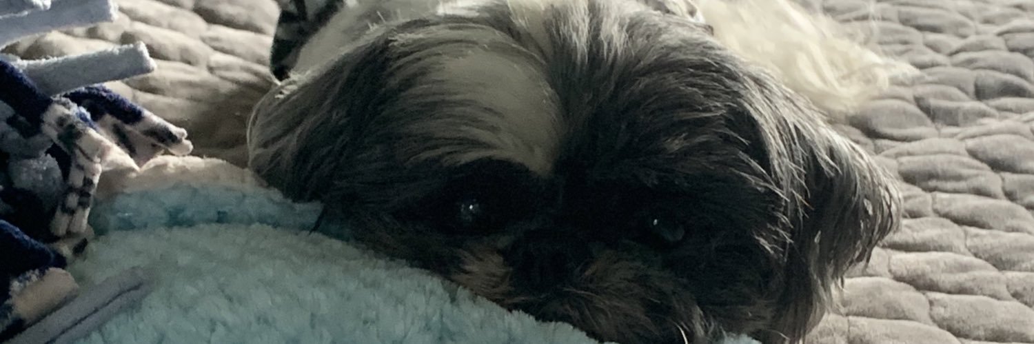 JFrancis61's profile banner image