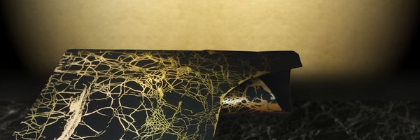 ECCOLEATHER Profile Banner