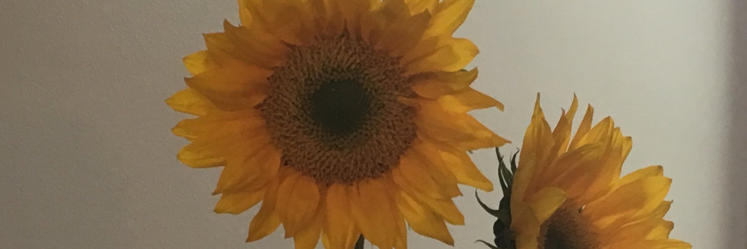 SparklingRage's profile banner image