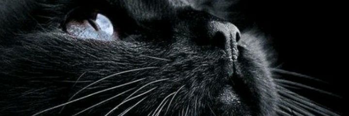 aini_rizky's profile banner image