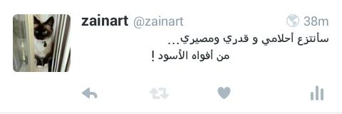 zainart banner