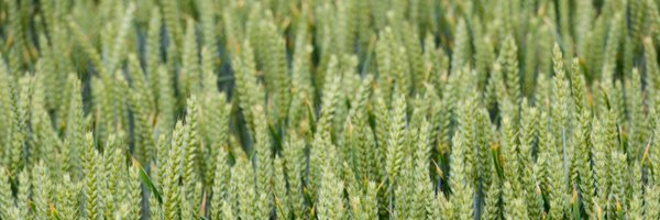 FrontierAg Profile Banner
